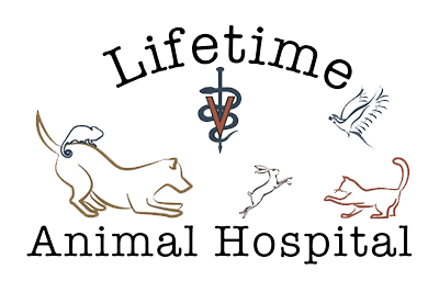 Lifetime Animal Hospital