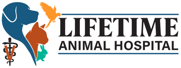Lifetime Animal Hospital